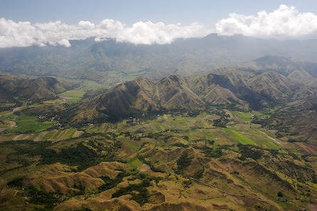 rice paddies