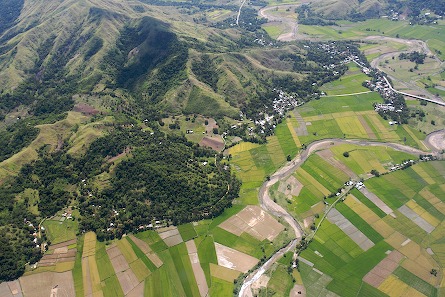 rice paddies