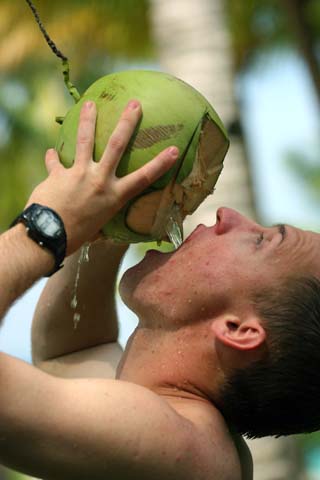 Coconut